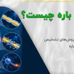سیستم عصبی انسان و تأثیرات سندرم گیلن باره